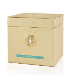 ABBRIFIUM Extrait Parfum 100 ml - Tiziana Terenzi