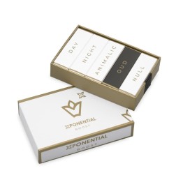 Set Discovery - Xponneiential Consulting и бесплатная доставка!