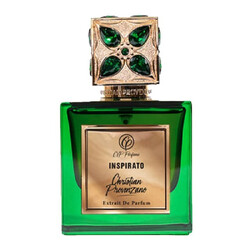 Вдохновение Christian Provenzano