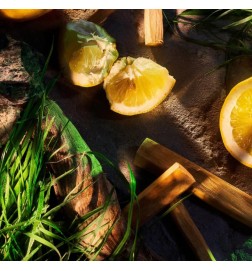Vetiver pour homme parfum - rød gratis rådgivning og forsendelse!