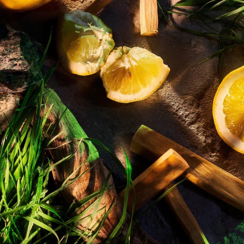 Vetiver Pour Homme Parfum - Roja