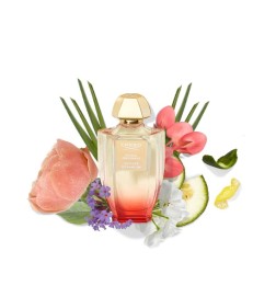 Vetiber Geranium - Creed Aconselhamento gratuito e remessas!