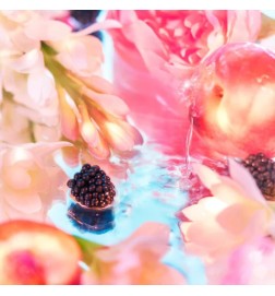 Elysium Pour Femme Parfum  - 红色咨询和免费送货！!