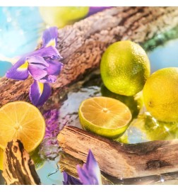 Oceania Eau De Parfum - Roja ¡Asesoría y Envíos Gratis!