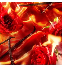 Danger Essence De Parfum Pour Femme - Roja | Perfumería Laura - Envio Gratis