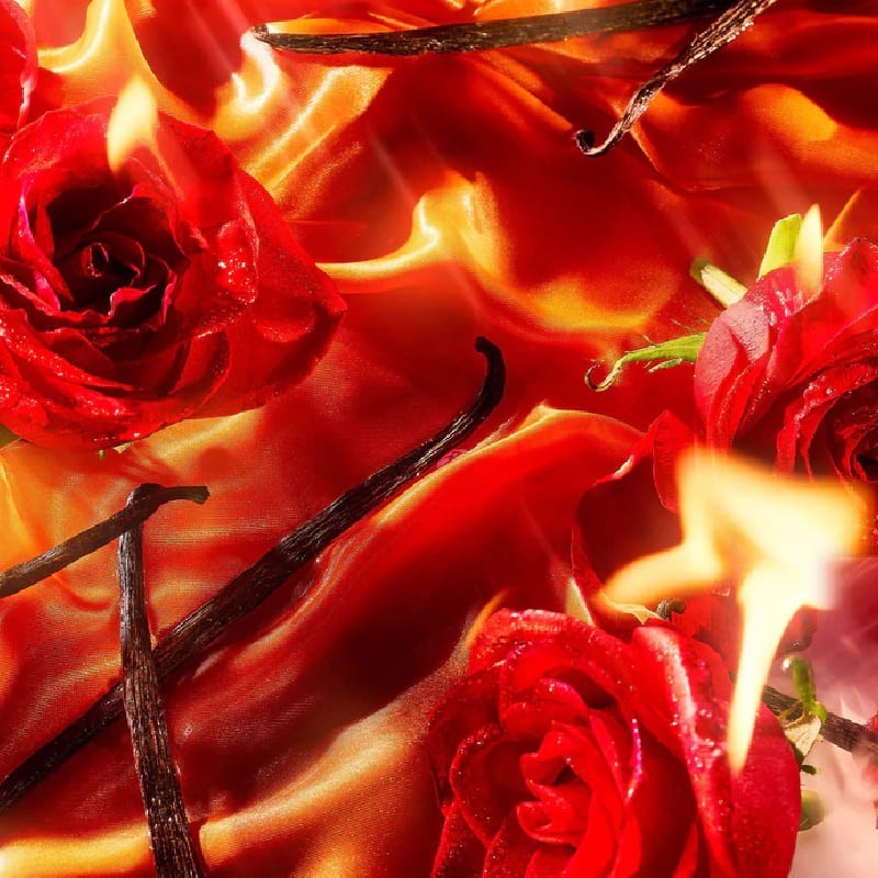 Essência de Perigo por Parfum Pour Femme - Vermelho