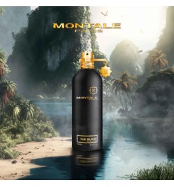 oud岛100毫升 -  Montale Paris 免费咨询和出货量！