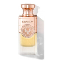 Celestial 100 ml - Electimuss