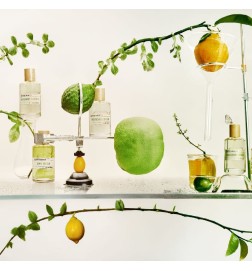 Saffron Mandarin - Liquides Imaginaires Gratis rådgivning och leveranser!