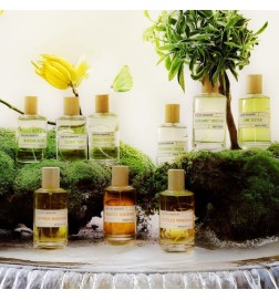 Жареный мандарин 100 мл - Imaginarium от LileciodesV