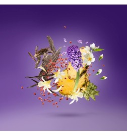 Purple Accento 100 ml - Xerjoff ¡Asesoría y Envíos Gratis!