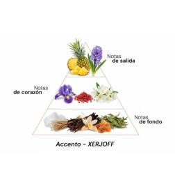 Accellemento - Xerjoff Gratis advies en zendingen!