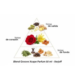 Blend GrooveXcape Parfum - Xerjoff | Perfumaria Laura - Frete Grátis