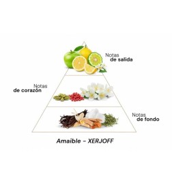 Amabile - Xerjoff Бесплатные советы и поставки!