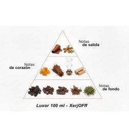 Luxor - Xerjoff ¡Asesoría y Envíos Gratis!