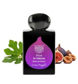 Facula榕属于parfum 50 ml  -  Lorenzo Pazzaglia