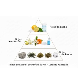 Sorte Havets ekstra karakter af Parfum - Lorenzo Pazzaglia