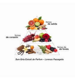 Sun-gria Lorenzo Pazzaglia ¡Envíos Gratis!