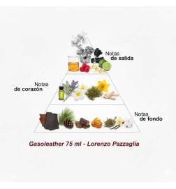 Gasoleder - Lorenzo Pazzaglia