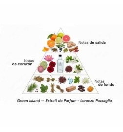 Ilha verde - Lorenzo Pazzaglia Aconselhamento gratuito e remessas!