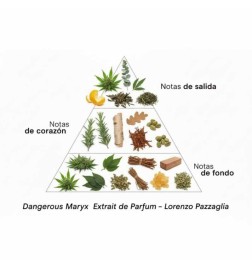 Dangerous MaryX Extrait de Parfum 50 ml - Lorenzo Pazzaglia
