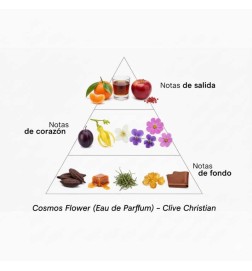 VII Cosmos Flower 50 ml - Clive Christian ¡Asesoría y Envíos Gratis!