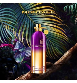 Sensual Instinct 100ml - Montale Paris Free advice and shipments!