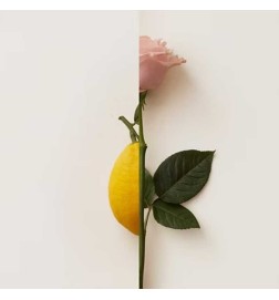 Rosa Limone Extrait van Parfum 50 ml - New Notes