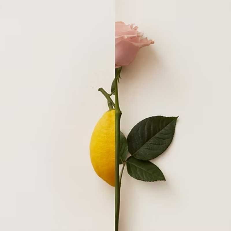 Rosa Limone Ektract of Parfum 50 ml - New Notes
