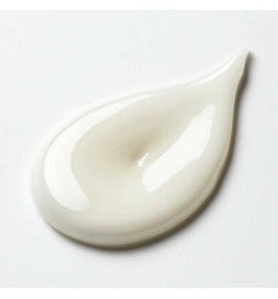 Burgleur Devido ET Zonas Ciblées Ovale Elevador 15 ml - Stendhal