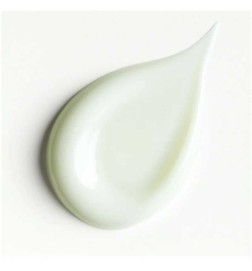 SOIN Asocant 50 ml保护器 -  Stendhal