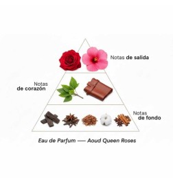 AOUD Róże Królowej 100 ml - Montale Paris Darmowa porada i przesyłki!