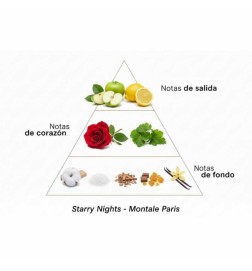 Noites estreladas intensas 100 ml - Montale Paris Aconselhamento gratuito e remessas!