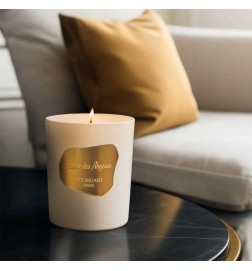 Ambre des abysses vela 195 g - Houbigant Paris
