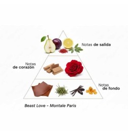 野兽爱100毫升 -  Montale Paris 免费咨询和出货量！