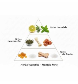 Aquatica a base di erbe 100ml - Montale Paris Consigli e spedizioni gratuiti!
