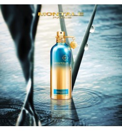 草药aquatica 100ml  -  Montale Paris 免费咨询和出货量！