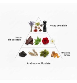 Aradies 100ml - Montale Paris Conseils gratuits et envois!