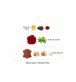 Black Aoud 100 ml - Montale Paris ¡Asesoría y Envíos Gratis!