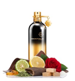 AOUD nat 100 ml - Montale Paris Gratis råd og forsendelser!