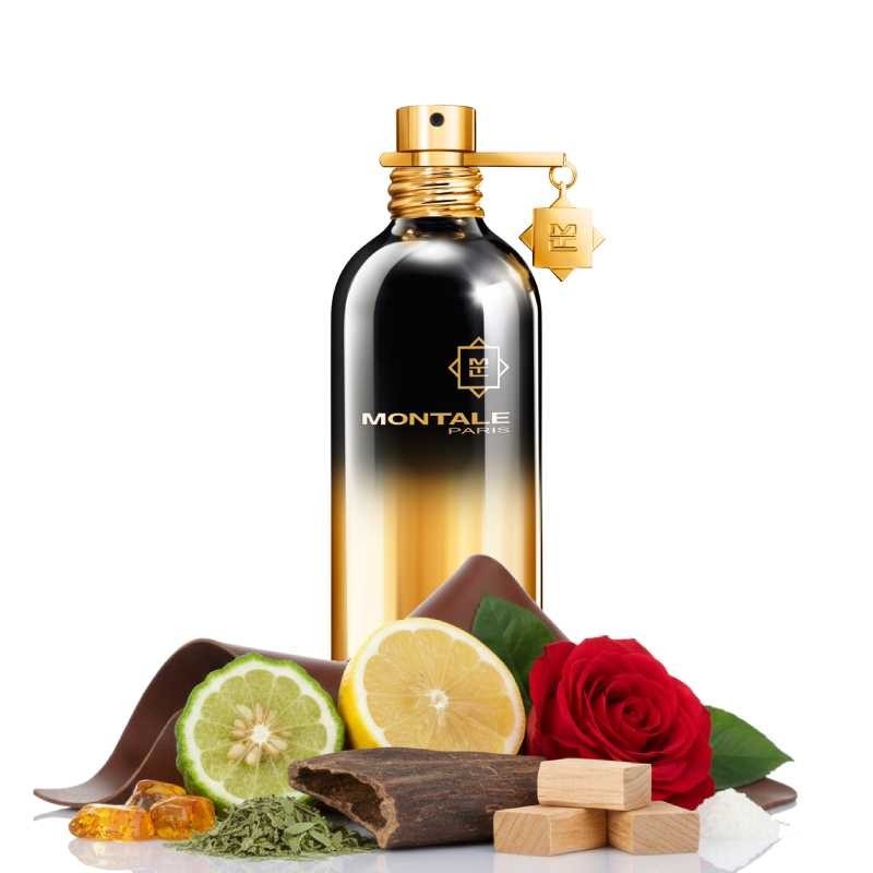 Aoud natt 100 ml - Montale Paris