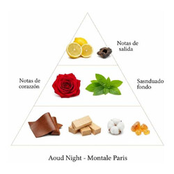 anoud night 100 ml  -  Montale Paris