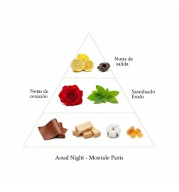 Aoud natt 100 ml - Montale Paris Gratis rådgivning och leveranser!