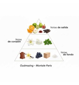 oudazing 100 ml  -  Montale Paris 免费咨询和出货量！
