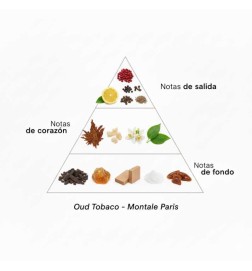 OUD TABACKO 100 mL - Montale Paris Gratis advies en zendingen!
