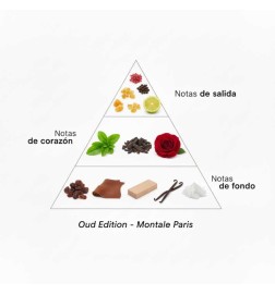 Oud Edition 100 ml - Montale Paris ¡Asesoría y Envíos Gratis!