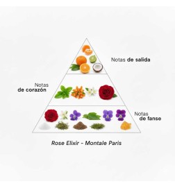 Rose Elixir 100 ml - Montale Paris ¡Asesoría y Envíos Gratis!