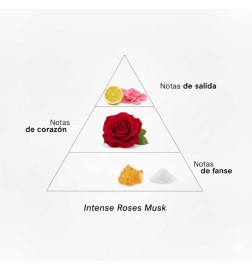 Intense Roses Musk 100 ml - Montale Paris ¡Asesoría y Envíos Gratis!