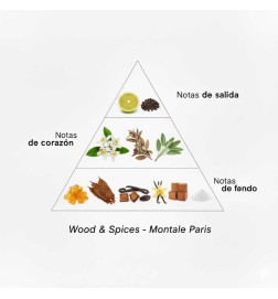 Holz & Gewürze 100 ml - Montale Paris Kostenlose Beratung und Sendungen!