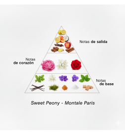 甜牡丹100 ml  -  Montale Paris 免费咨询和出货量！